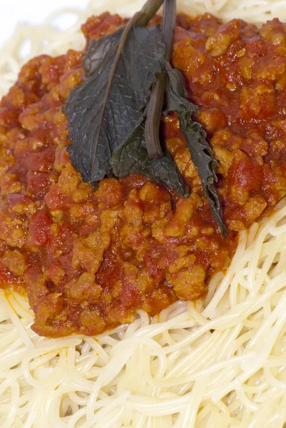 Spaghetti bolognais — Photo