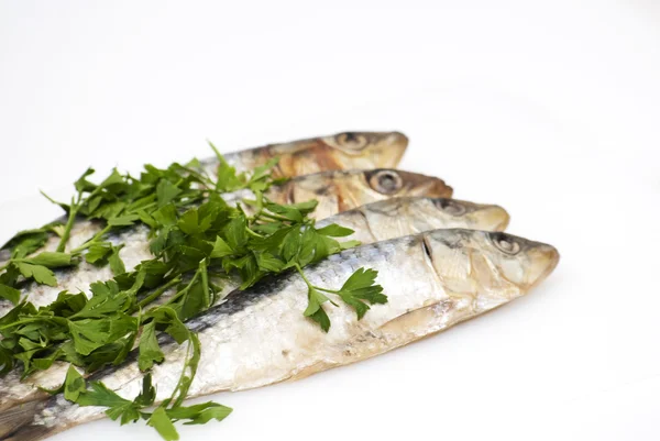 Fresh sardines with parsley leaves — Stock Photo, Image