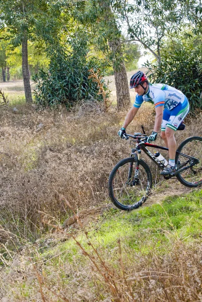 Cyclist on mountain bike racing making a career in the field — Stock Photo, Image