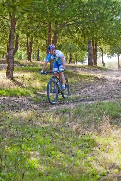 Sykkelkjører med terrengsykkel som gjør karriere i felten – stockfoto