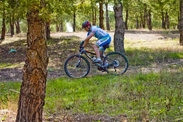 Rowerzysta na rower górski, wyścigi, podejmowaniu kariery w dziedzinie — Zdjęcie stockowe