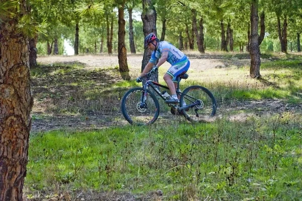 Radrennfahrer auf Mountainbike macht Karriere — Stockfoto