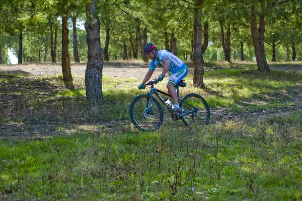 Cyklist på mountainbike racing gør en karriere i marken - Stock-foto