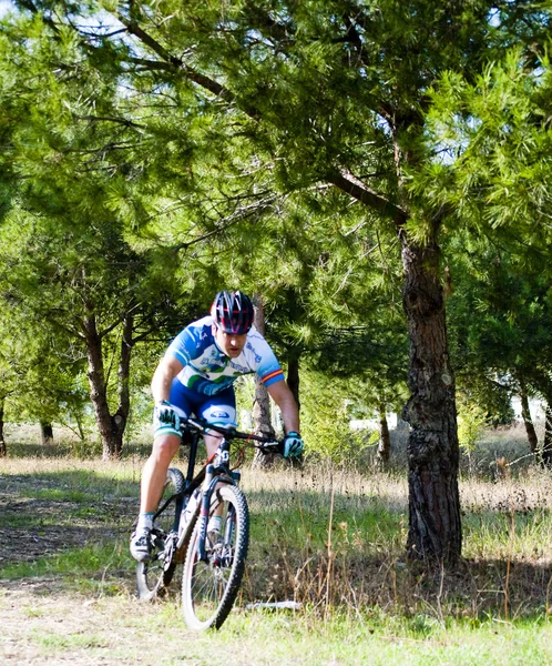 Cyklist på mountainbike racing gør en karriere i marken - Stock-foto