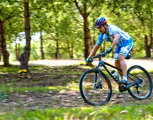 Cyclist on mountain bike racing making a career in the field — Stock Photo, Image