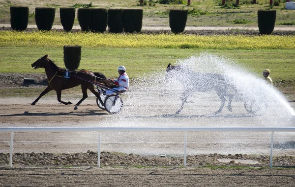 Horse racing — Stock Photo, Image