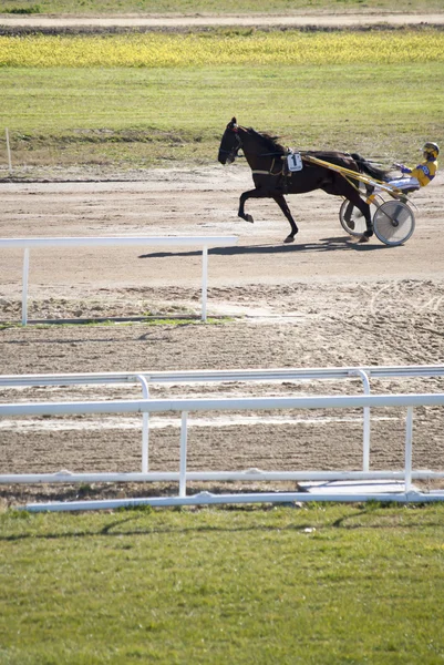 Horse racing — Stock Photo, Image