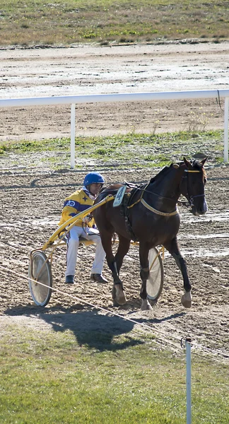 Horse racing — Stock Photo, Image