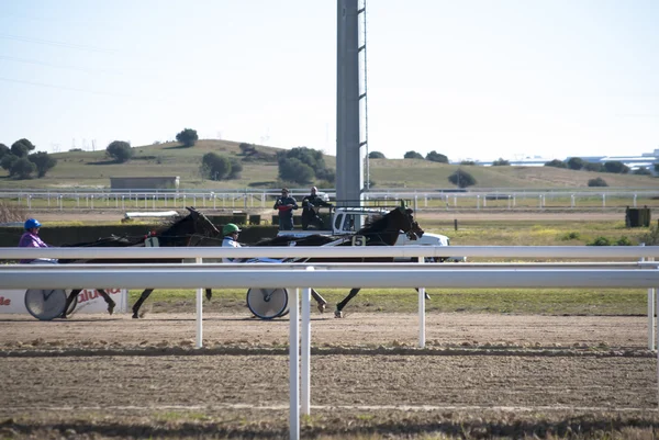 Horse racing — Stock Photo, Image