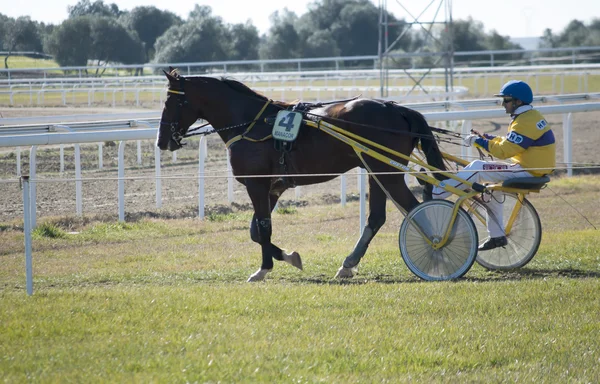 Horse racing — Stock Photo, Image