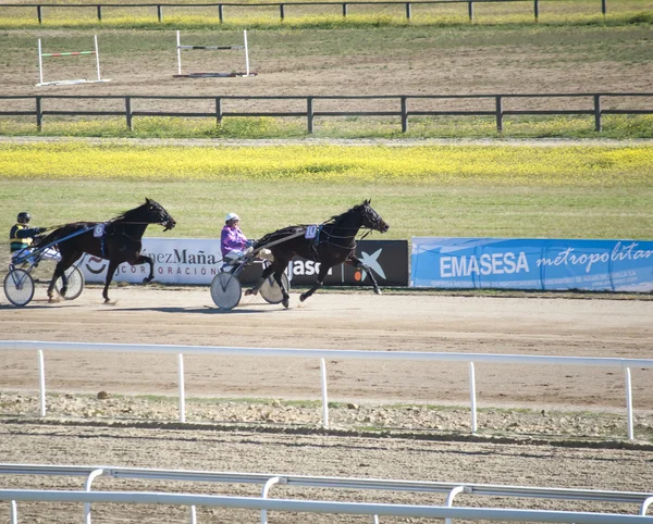 Horse racing — Stock Photo, Image