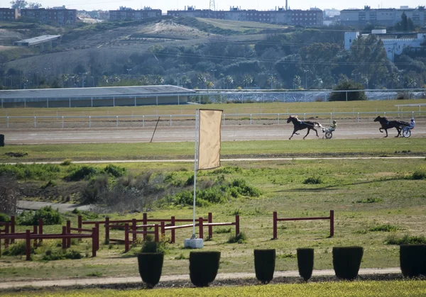 Horse racing — Stock Photo, Image