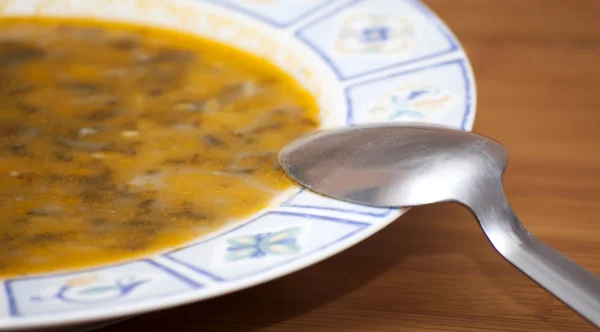 Soppa skål med sked — Stockfoto
