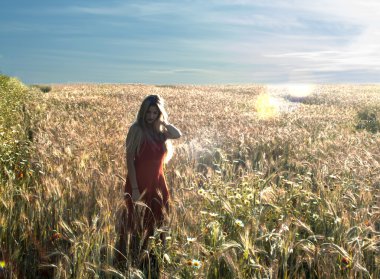 Gün batımında buğday alanında güzel sarışın kadın