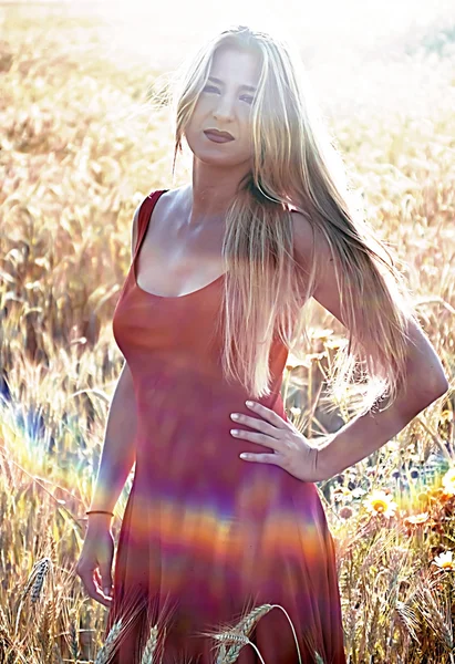 Mooie blonde vrouw in een tarweveld bij zonsondergang — Stockfoto