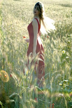 Gün batımında buğday alanında güzel sarışın kadın