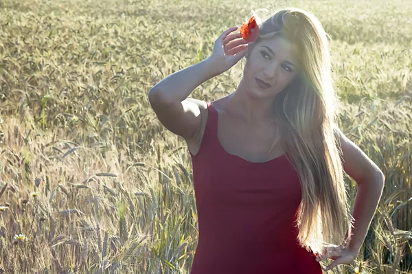Vacker blond kvinna i ett vete fält vid solnedgången — Stockfoto