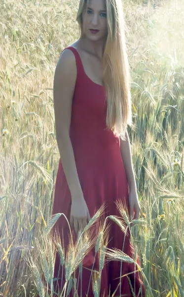 Mooie blonde vrouw in een tarweveld bij zonsondergang — Stockfoto