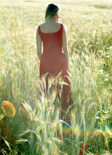 Gün batımında buğday alanında güzel sarışın kadın — Stok fotoğraf