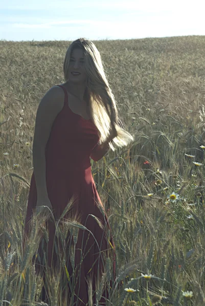 Mooie blonde vrouw in een tarweveld bij zonsondergang — Stockfoto