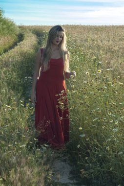 güzel sarışın kadın da bir buğday alanı içine bir yolu