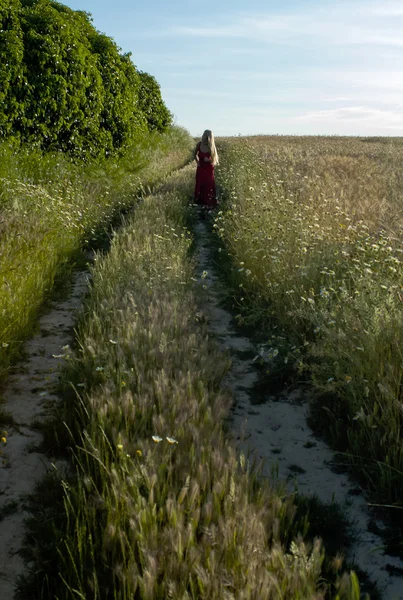 Beautiful blond woman in a path into a wheat field