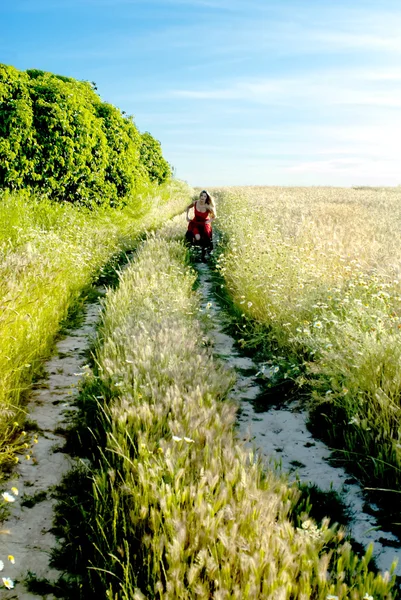 Hermosa mujer rubia en un camino hacia un campo de trigo — Foto de Stock