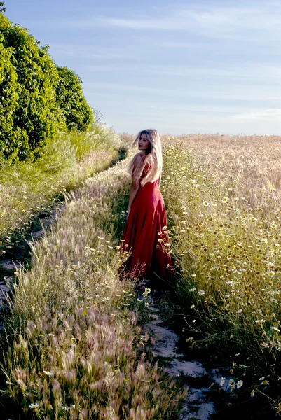 Güzel sarışın kadın da bir buğday alanı içine bir yolu — Stok fotoğraf
