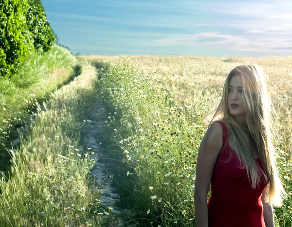 Güzel sarışın kadın da bir buğday alanı içine bir yolu — Stok fotoğraf