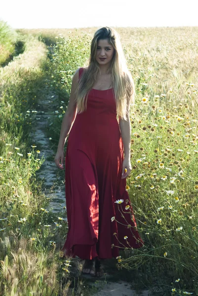 Mooie blonde vrouw in een pad in een tarweveld — Stockfoto