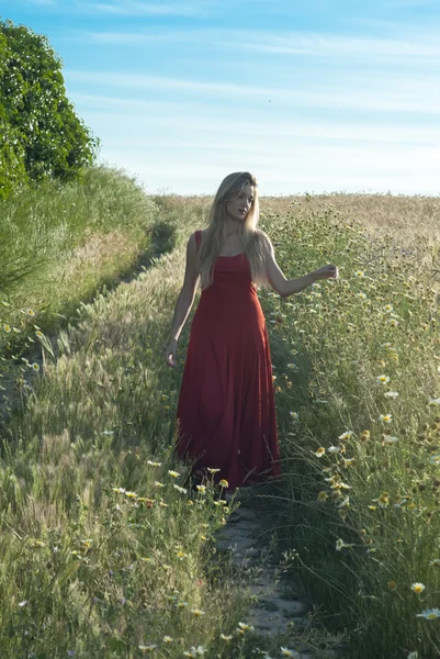 麦畑にパスで美しいブロンド女性 — ストック写真