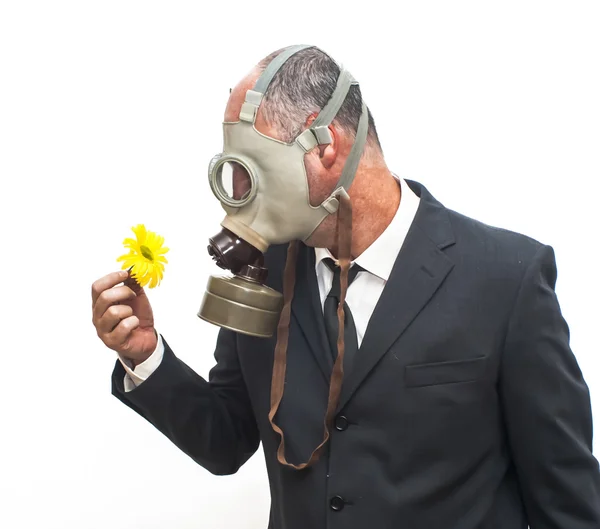 Empresario con máscara de gas mirando una flor en su mano — Foto de Stock