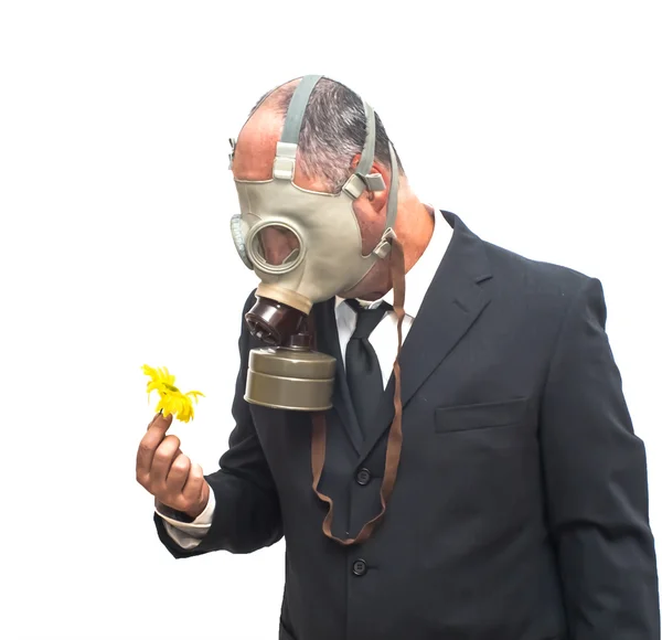 Empresario con máscara de gas mirando una flor en su mano — Foto de Stock