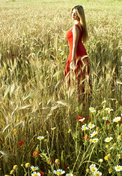 Mooie blonde vrouw in een tarweveld bij zonsondergang — Stockfoto