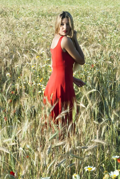 Belle femme blonde dans un champ de blé au coucher du soleil — Photo