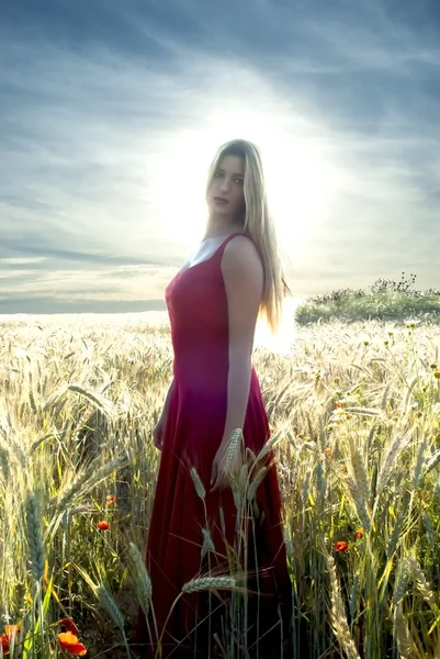 Belle femme blonde dans un champ de blé au coucher du soleil — Photo