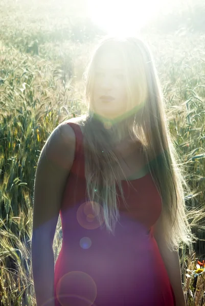 Mooie blonde vrouw in een tarweveld bij zonsondergang — Stockfoto