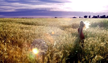 Gün batımında buğday alanında güzel sarışın kadın