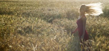 Gün batımında buğday alanında güzel sarışın kadın