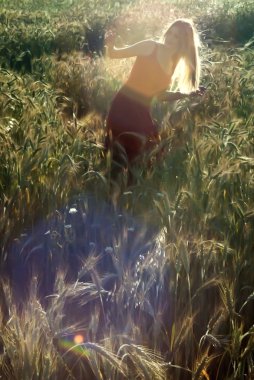 Gün batımında buğday alanında güzel sarışın kadın