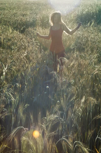 Красива блондинка в пшеничному полі на заході сонця — стокове фото