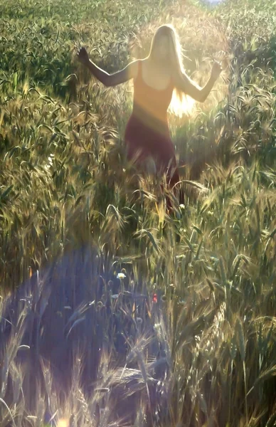 Hermosa mujer rubia en un campo de trigo al atardecer —  Fotos de Stock