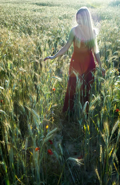 夕暮れ時の麦畑で美しいブロンド女性 — ストック写真