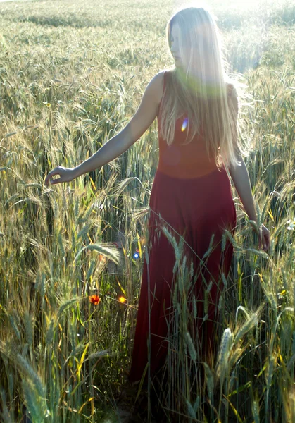 Gün batımında buğday alanında güzel sarışın kadın — Stok fotoğraf