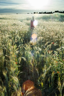 Gün batımında buğday alanında güzel sarışın kadın