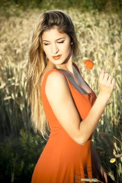 Piękne blond kobieta w polu pszenicy na zachodzie słońca — Zdjęcie stockowe