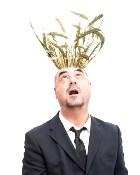 Businessman who seems to growing wheat on his bald — Stock Photo, Image
