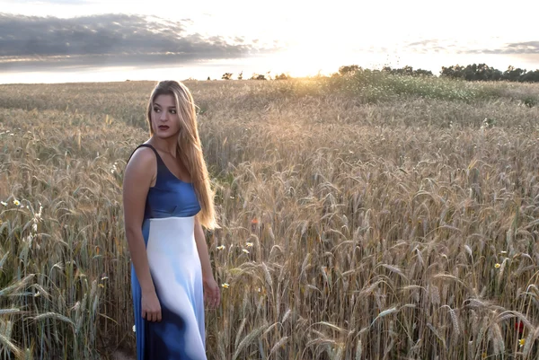 Belle femme blonde dans un champ de blé au coucher du soleil — Photo