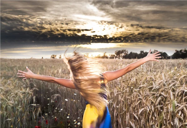 Bella donna bionda in un campo di grano al tramonto Immagine Stock