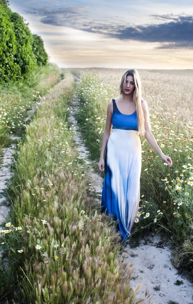 Belle femme blonde sur un chemin dans un champ de blé — Photo